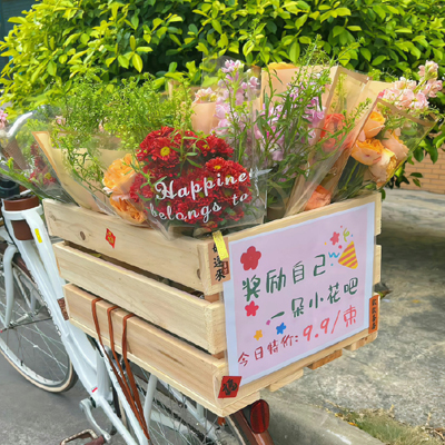 宠物营养学知识竞赛
